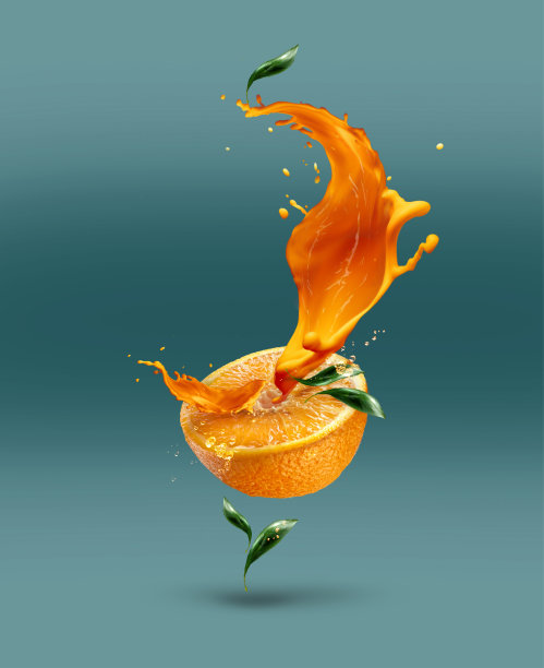 新鲜橙子插画