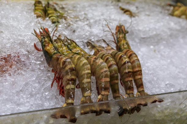 海鲜美食宣传