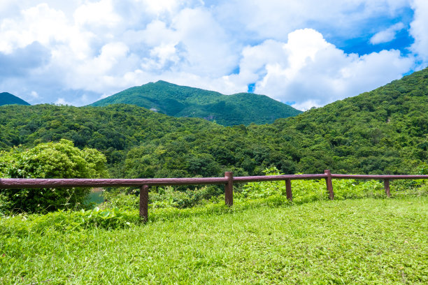 乡村,小径,湿地