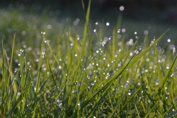 谷雨 雨水 小雨 