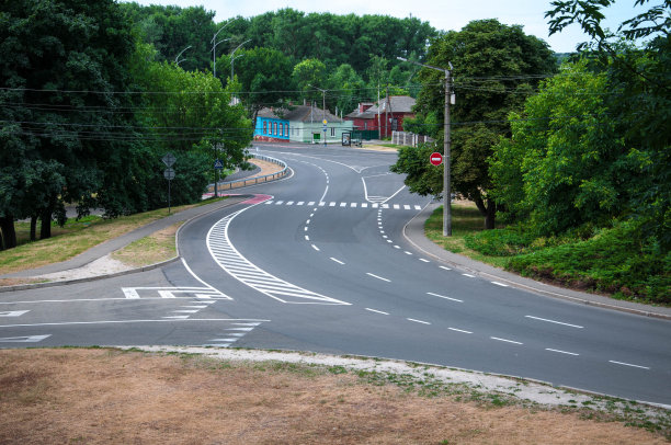 自主创新道路