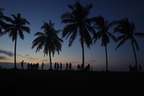 海边夕阳椰树剪影