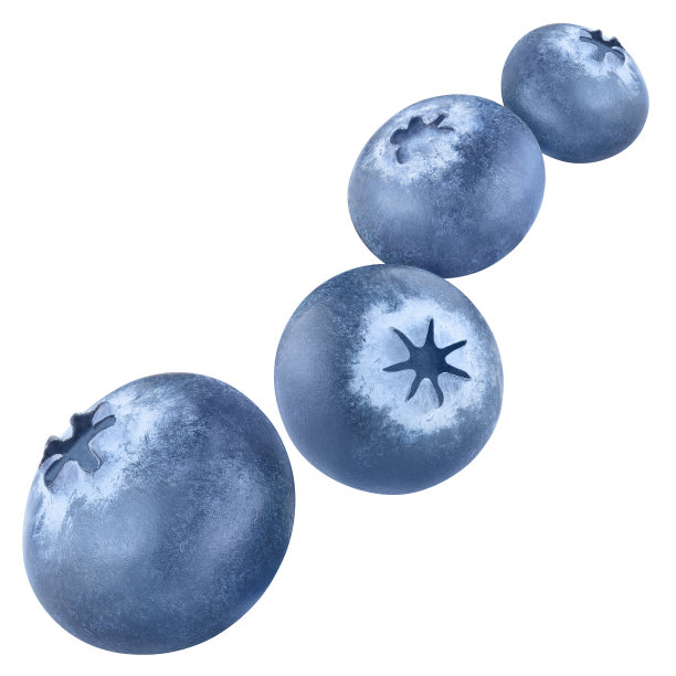 一串蓝莓
