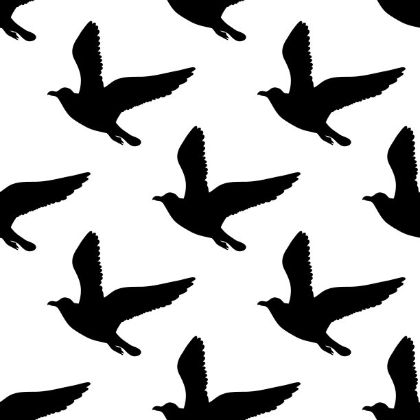 鸟类黑白剪影素材