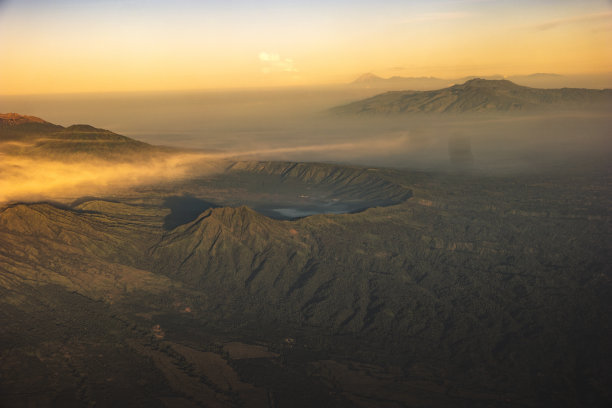 火山植物