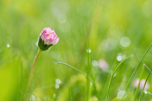 谷雨时节