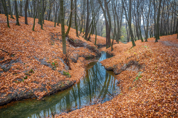 秋天的河道