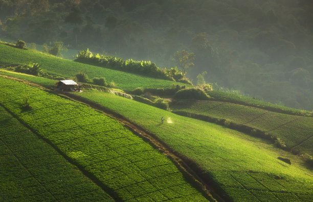 天然食品山村田野风景