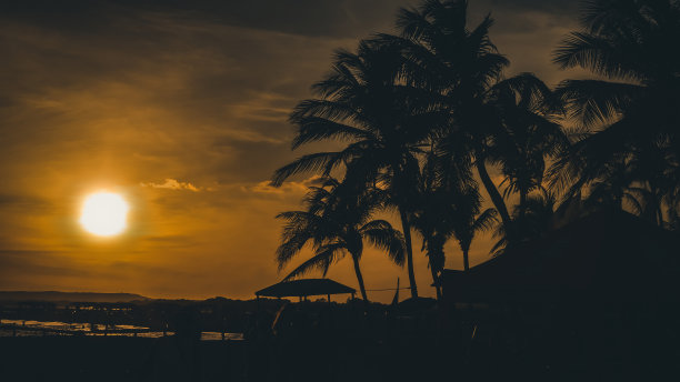 海边夕阳椰树剪影