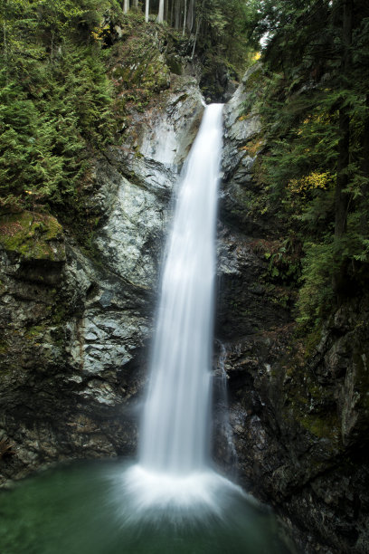 溪流,树林,山涧