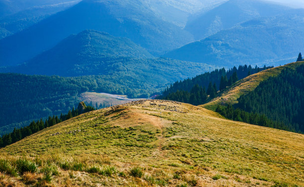 高山景观旅游