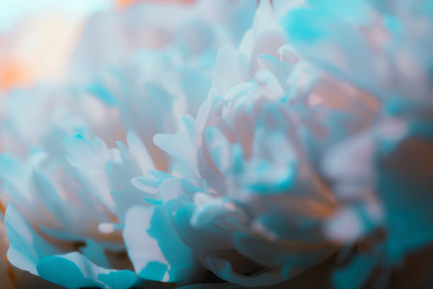蓝色花卉婚礼背景设计