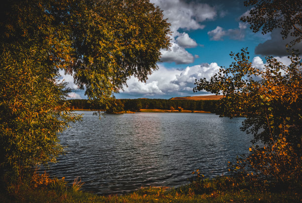 公园湖泊美景