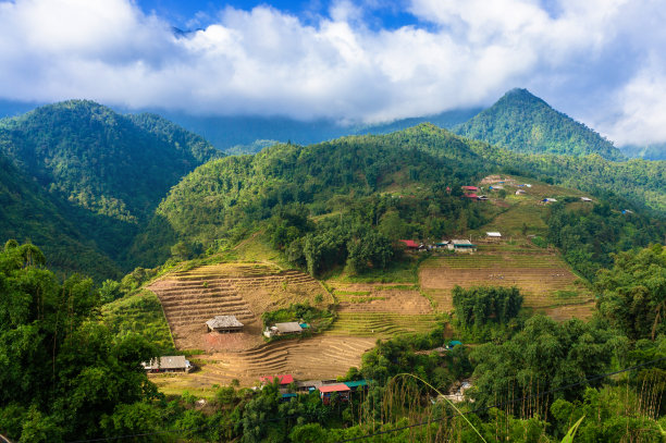 美丽乡村田园全景