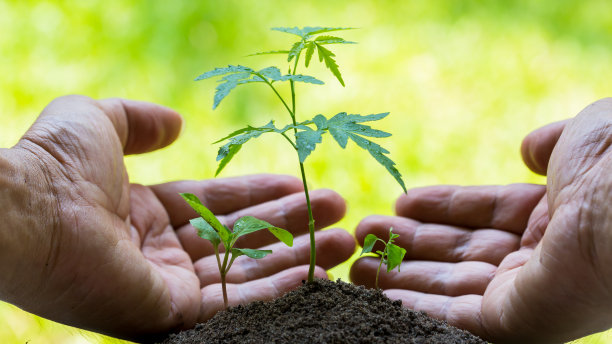 植物保护环境概念图