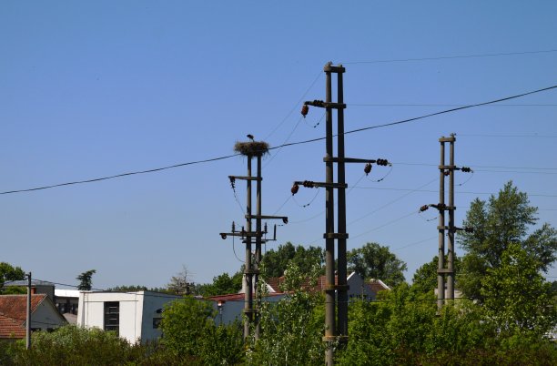 电力铁塔,鸟窝