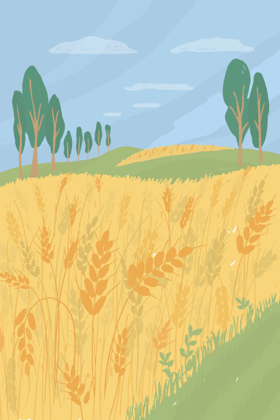 麦穗背景