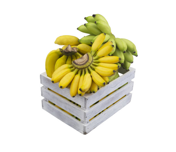 香蕉零食包装