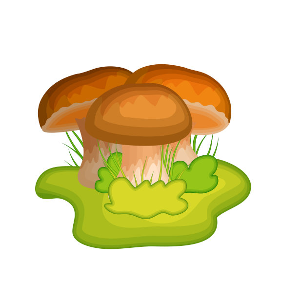 野生菌logo