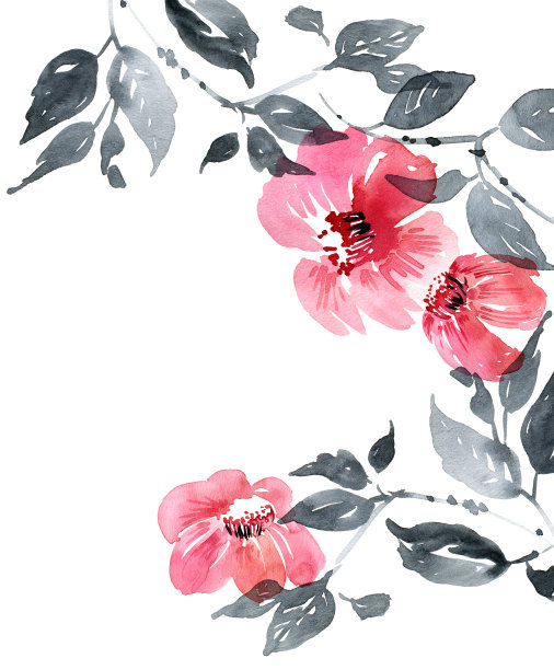 中国风国画花卉