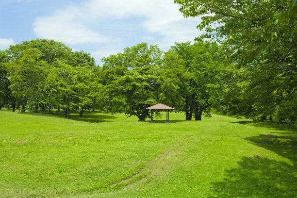 夏天氛围设计