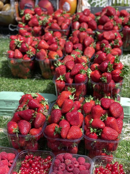 草莓促销