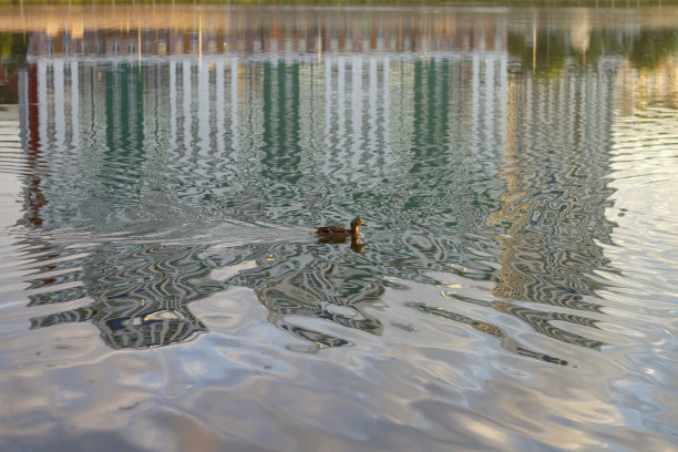 夕阳水纹湖泊波纹