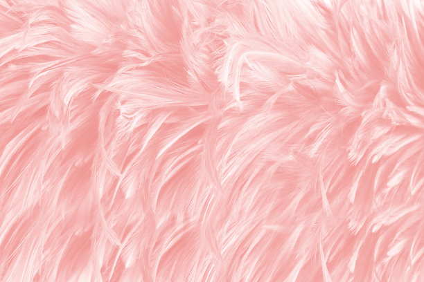 粉色时尚背景
