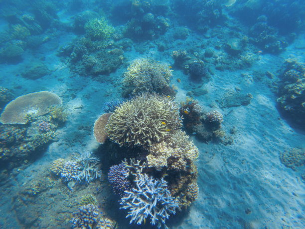 泰国珊瑚岛