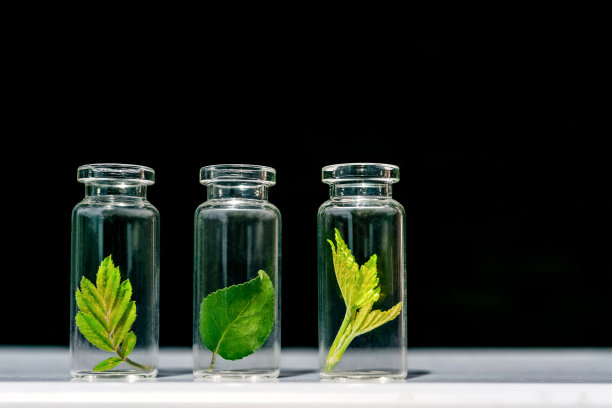 生物医学护肤基因科技背景