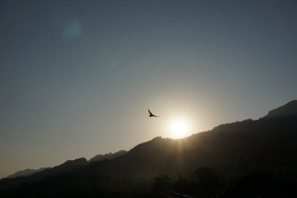 夕阳下展翅的雄鹰