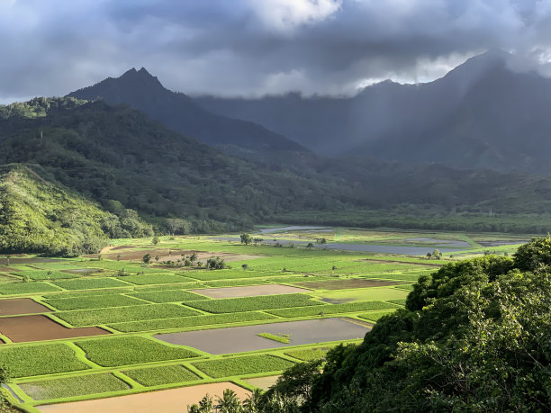 绿水青山广告