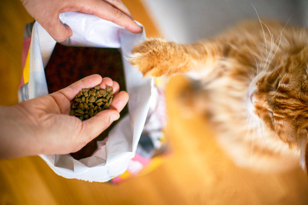 猫粮 宠物 包装