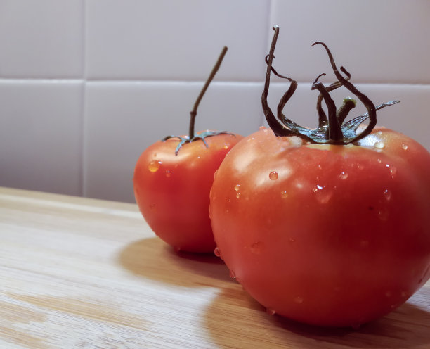 西红柿高清摄影