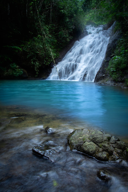 茂密丛林美景