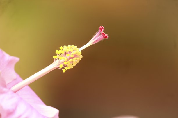 摩托车背景图