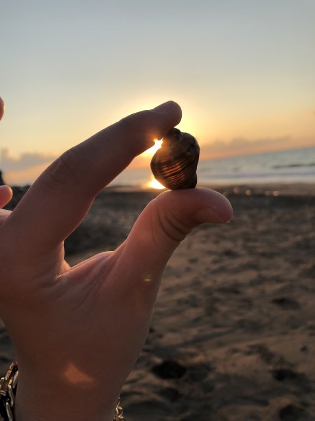 花的海洋