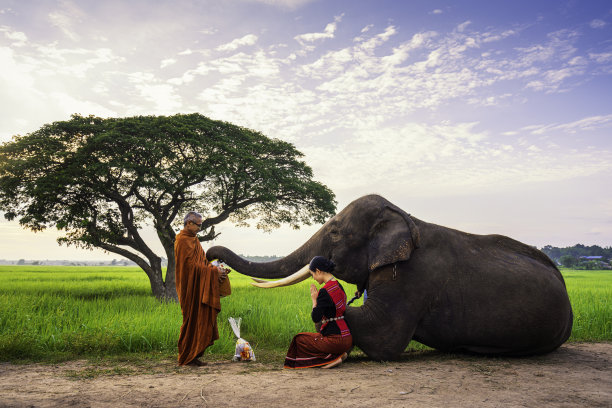 菩萨和大象