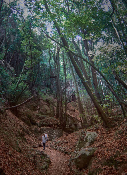 禅意山峰云雾环保低碳