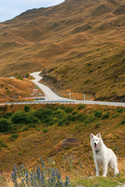 公园小路绿道阳光小路