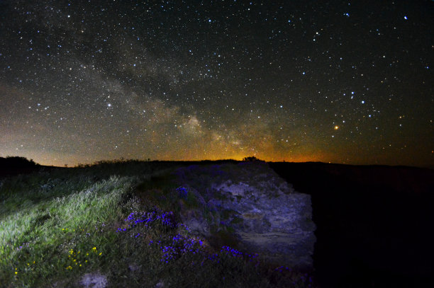 繁星花