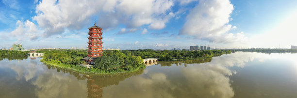 春季的湿地