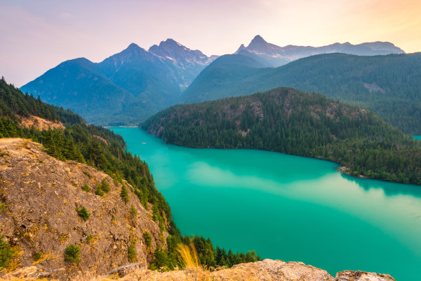 高山脐橙