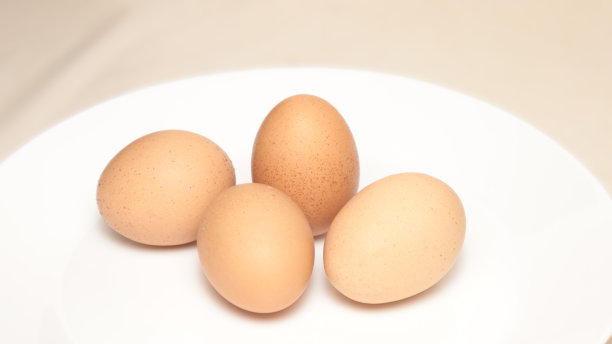 卵,蛋白质,组物体