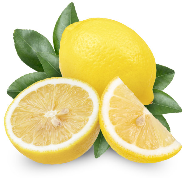 柠檬剖面素材