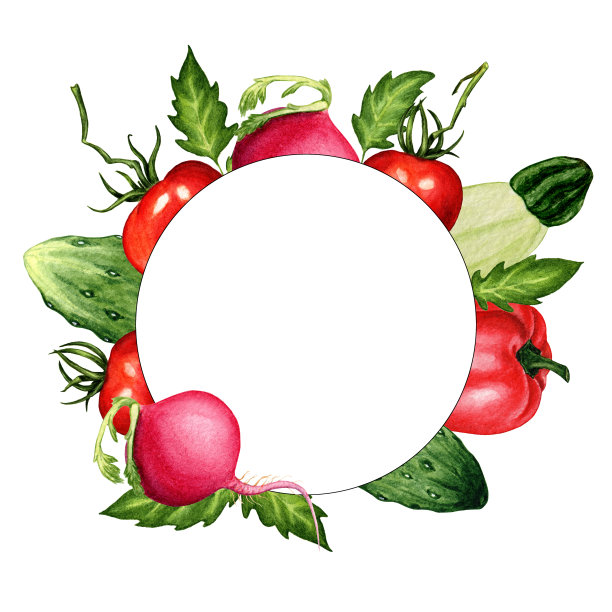 红萝卜logo