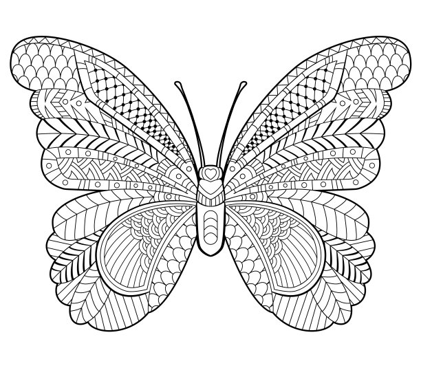 美丽的蝴蝶矢量图