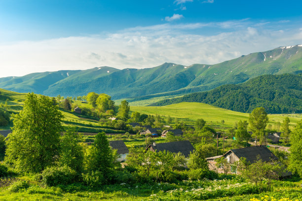 生态造景