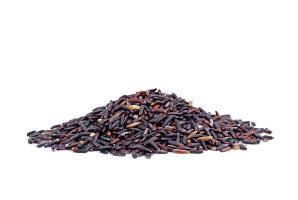 紫色水稻