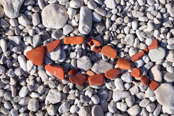 石块与鱼